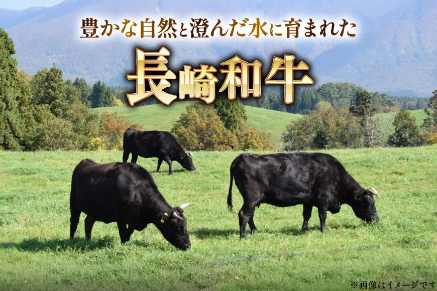 AK024 長崎和牛 サーロイン ステーキ 250g 2パック 計500g 