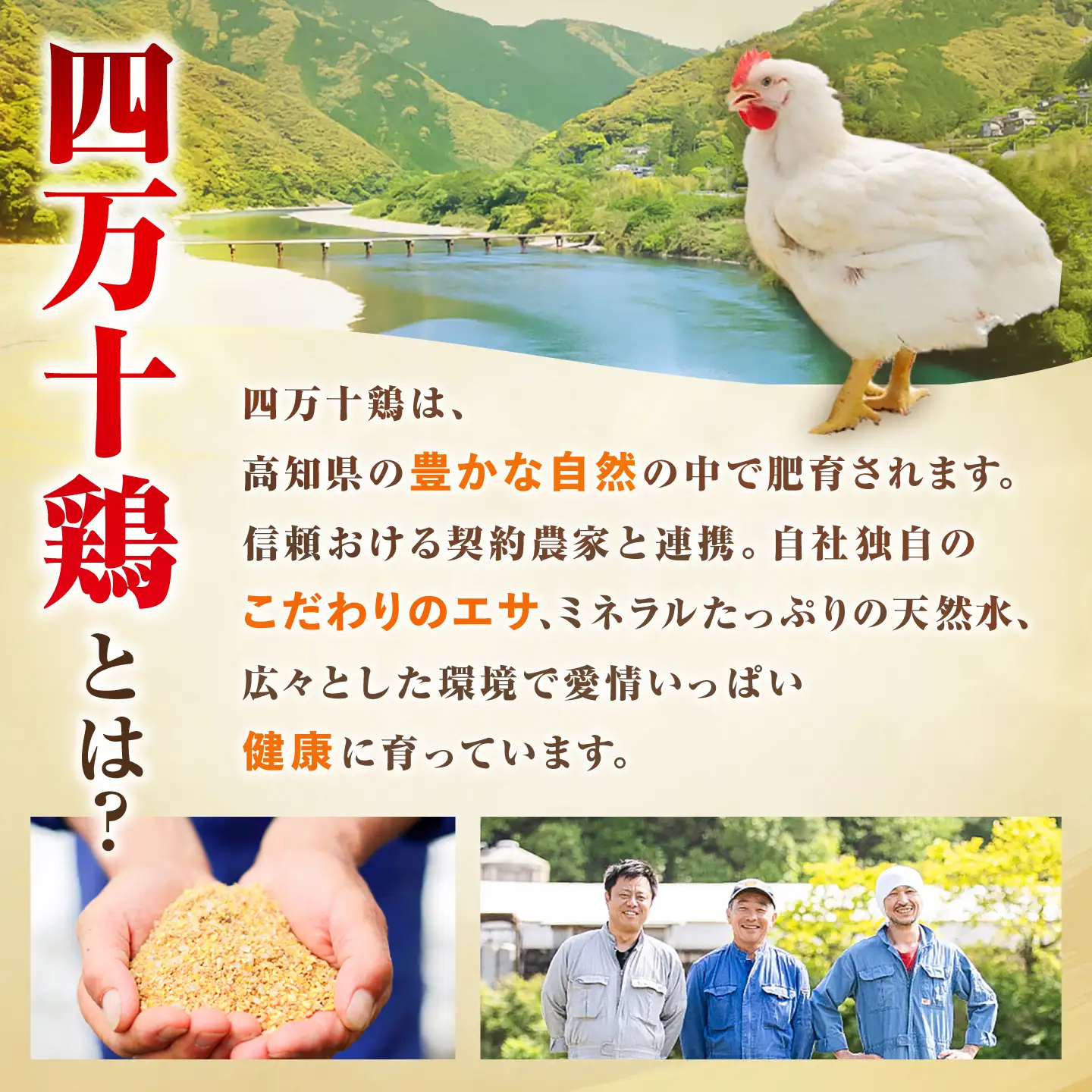 【6回定期便】四万十鶏もも肉 切身 約2.4kg （約300g×8パック） カットでかんたん 時短セット / 四万十鶏 もも肉 小分け 冷凍 カット 時短 【三栄ブロイラー販売株式会社】[ATDP014]