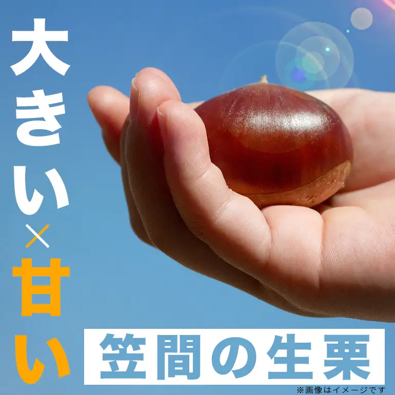笠間の栗 2kg 2L（1kg×2セット） JV-006