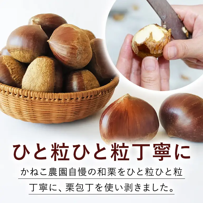 笠間の栗 かねこ農園のむき栗（300g×2パック） JO-021