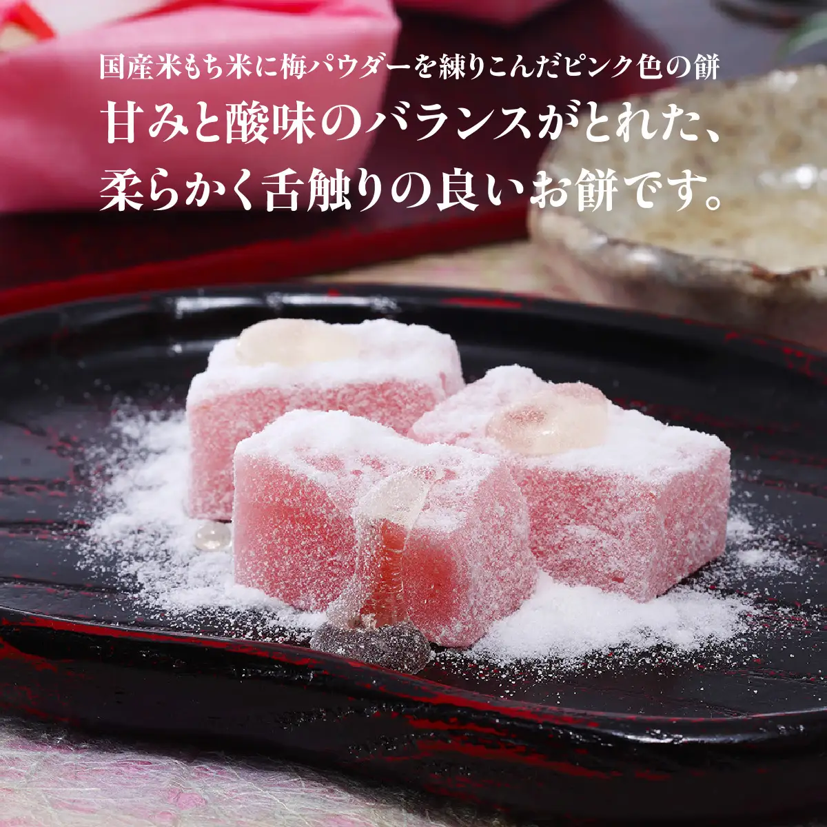 梅餅（10個セット） ANBT003