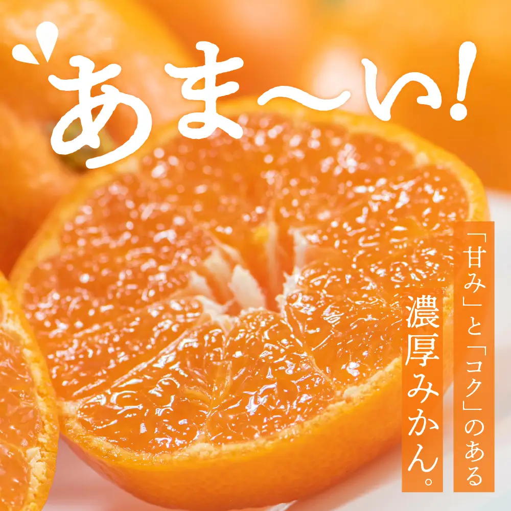 【先行受付】【2026年12月上旬～発送】川田柑橘園　呉市大長産「いしじみかん」5kg ku055-014-26