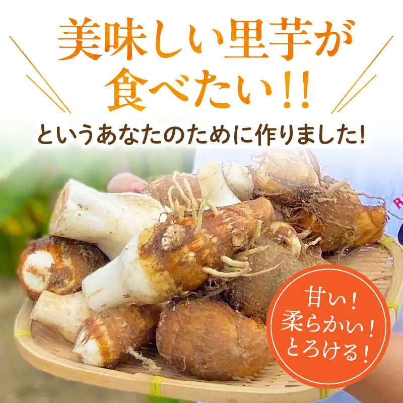 【定期便4ヶ月】里芋『とろまろ』土付き 4.5kg・H140-880