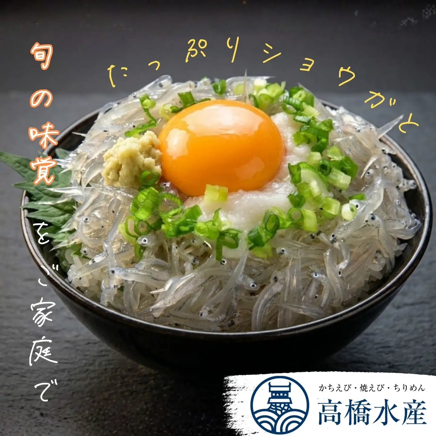 生しらす シラス 1kg 国産 小分け シラス丼 海鮮丼 冷凍 ／豊後別府湾生しらす 計 1kg（100g×10パック） 国産 添加物不使用＜108-222＞
