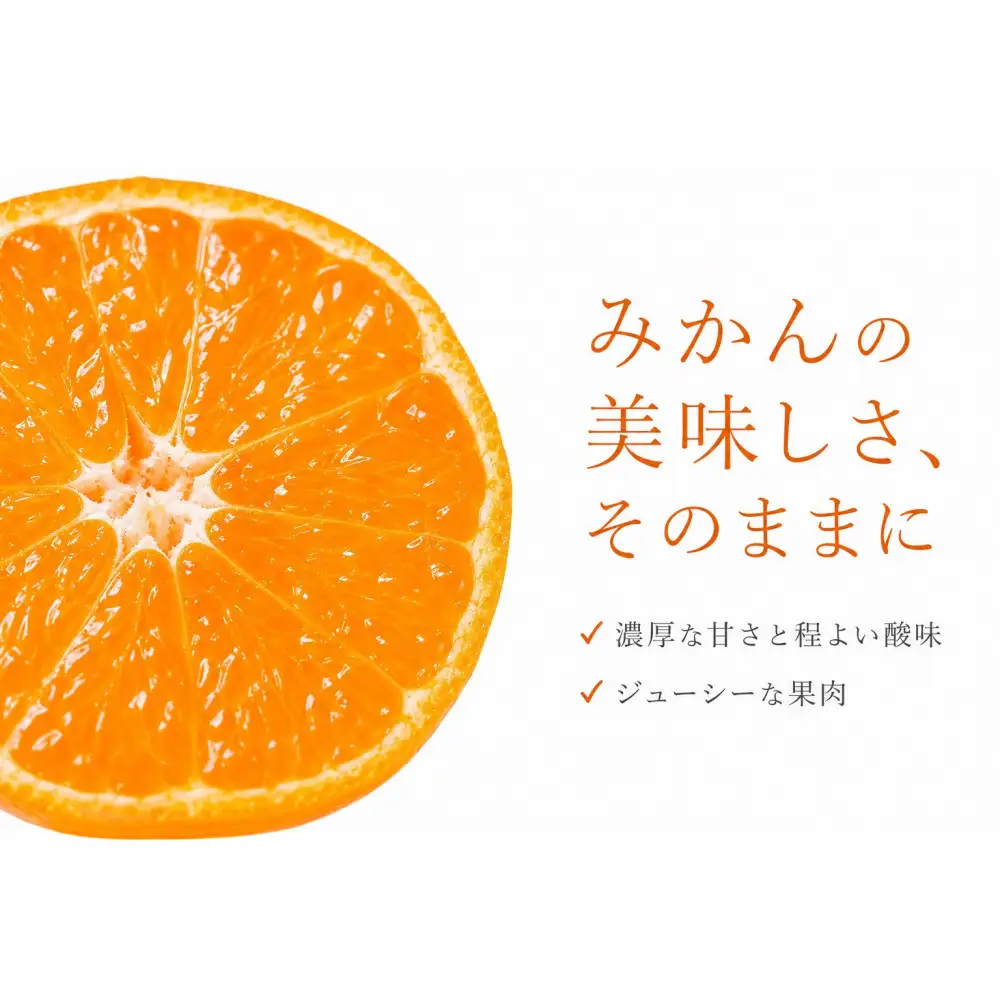 ［ご家庭用訳あり］有田みかん10kg 2S〜2Lサイズ混合