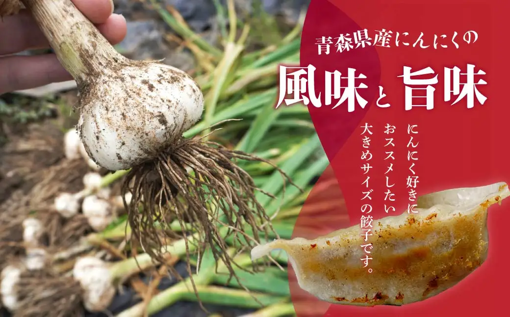 餃子 野菜餃子 60個セット (60個×1袋) 冷凍 餃子