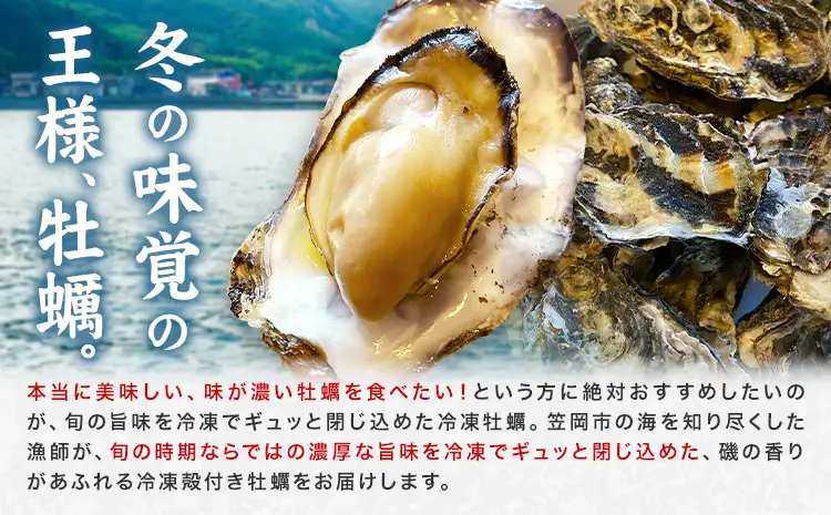 笠岡産 冷凍殻付き牡蠣 加熱用 1kg 15～20粒