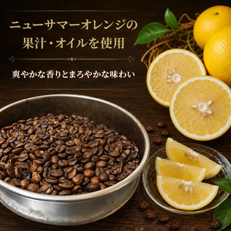コーヒー豆 100g 2本 珈琲 自家焙煎 ニューサマーオレンジ