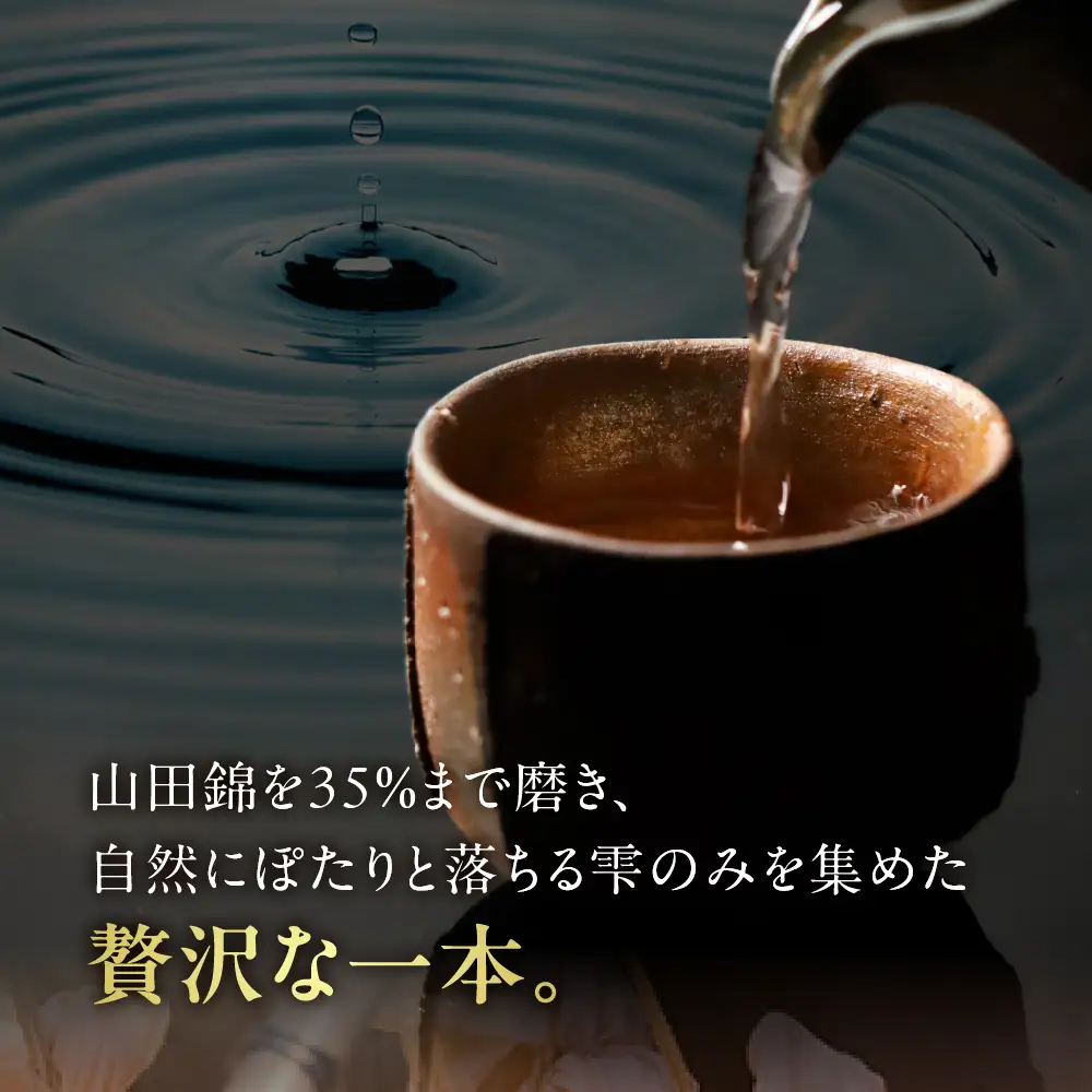 秘蔵雫酒 真 720ml 蒲酒造場 飛騨市