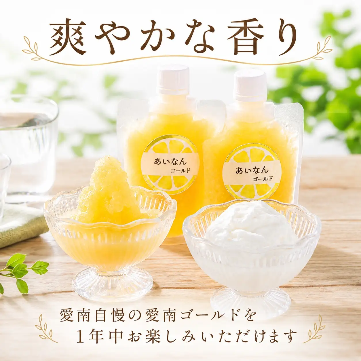愛南ゴールド アイス 小パック 2個 ソルベ 3個 河内晩柑 アイスクリーム ジェラート みかん 冷凍 暑い 夏 湯上がり プール 愛南総研 道の駅MIC 愛媛県 愛南町