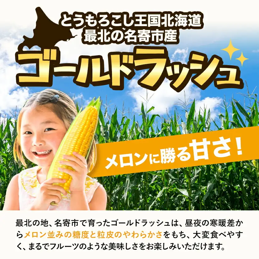 極甘 とうもろこし ゴールドラッシュ 10kg 北海道 名寄 スイートコーン