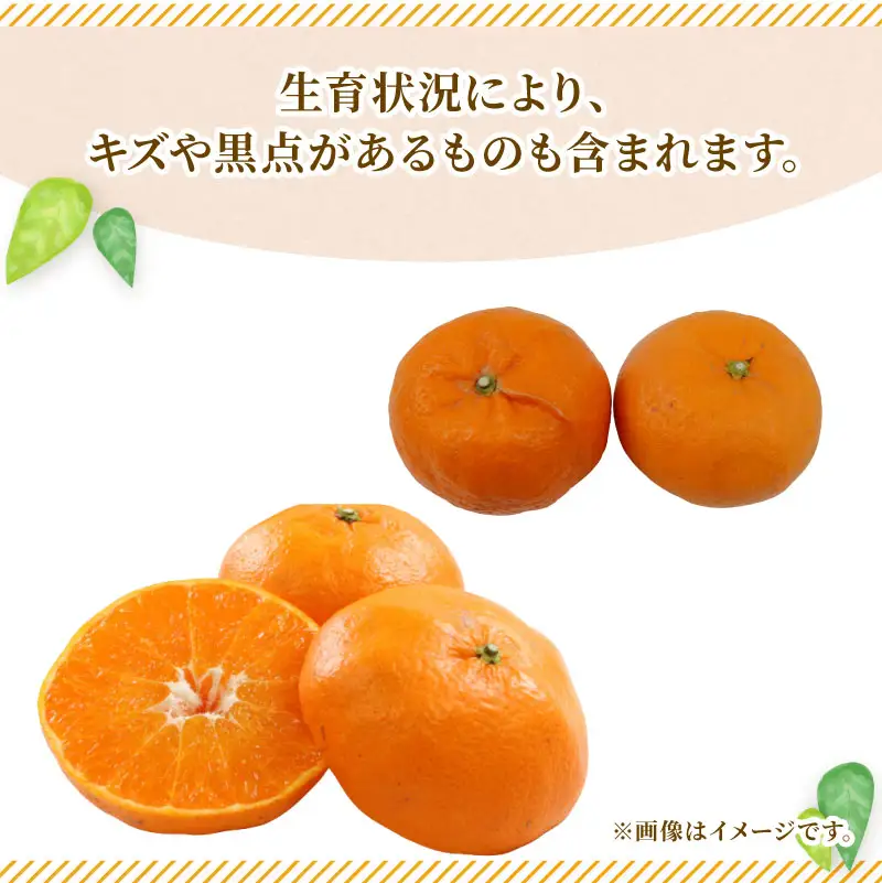【みかん】準贈答用みかん詰め合わせ5kg矢野青果|B010-171034