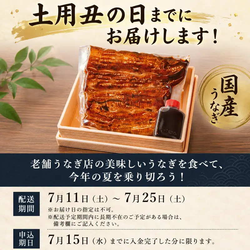 【土用丑の日までにお届け】 三島うなぎ蒲焼き 2尾