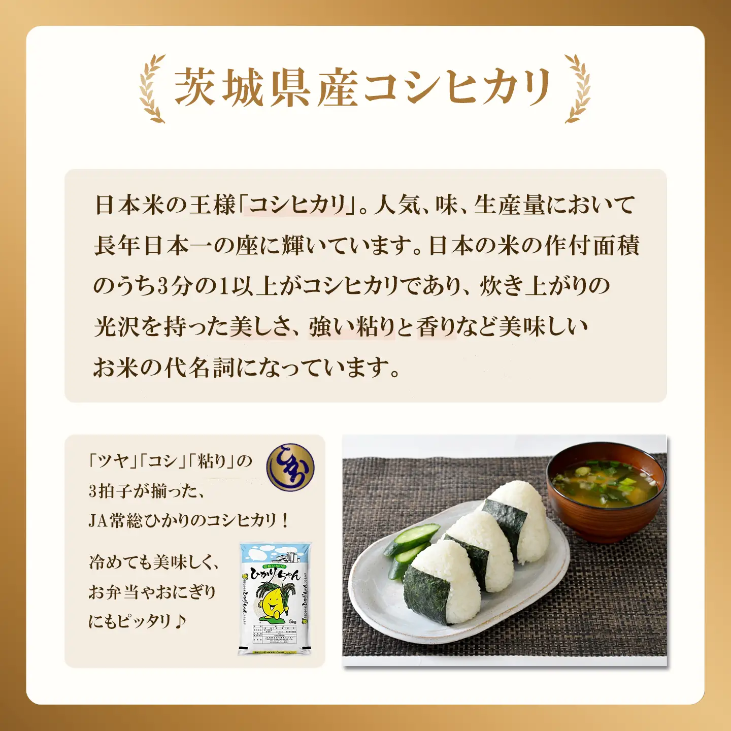 【ふるなび限定】米 精米 R7年産 コシヒカリ 10kg 9月 FN-Limited-PR