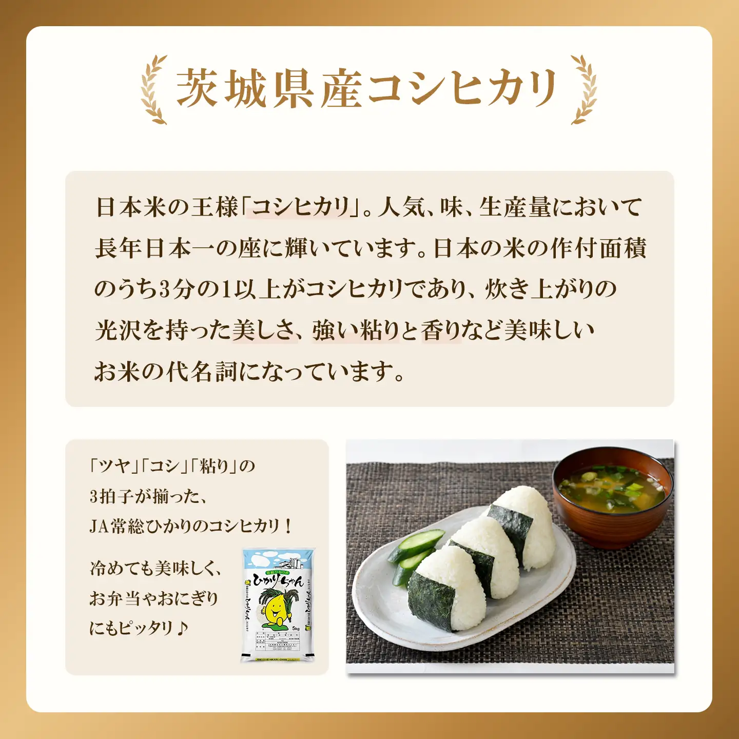 米 精米 R7年産 コシヒカリ 5kg 9月