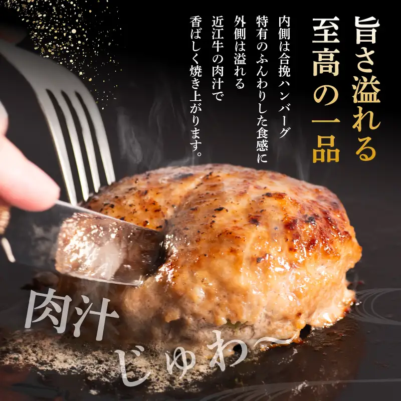 近江牛入りハンバーグ[RM213_fw](30個計6kg)【スピード配送!】