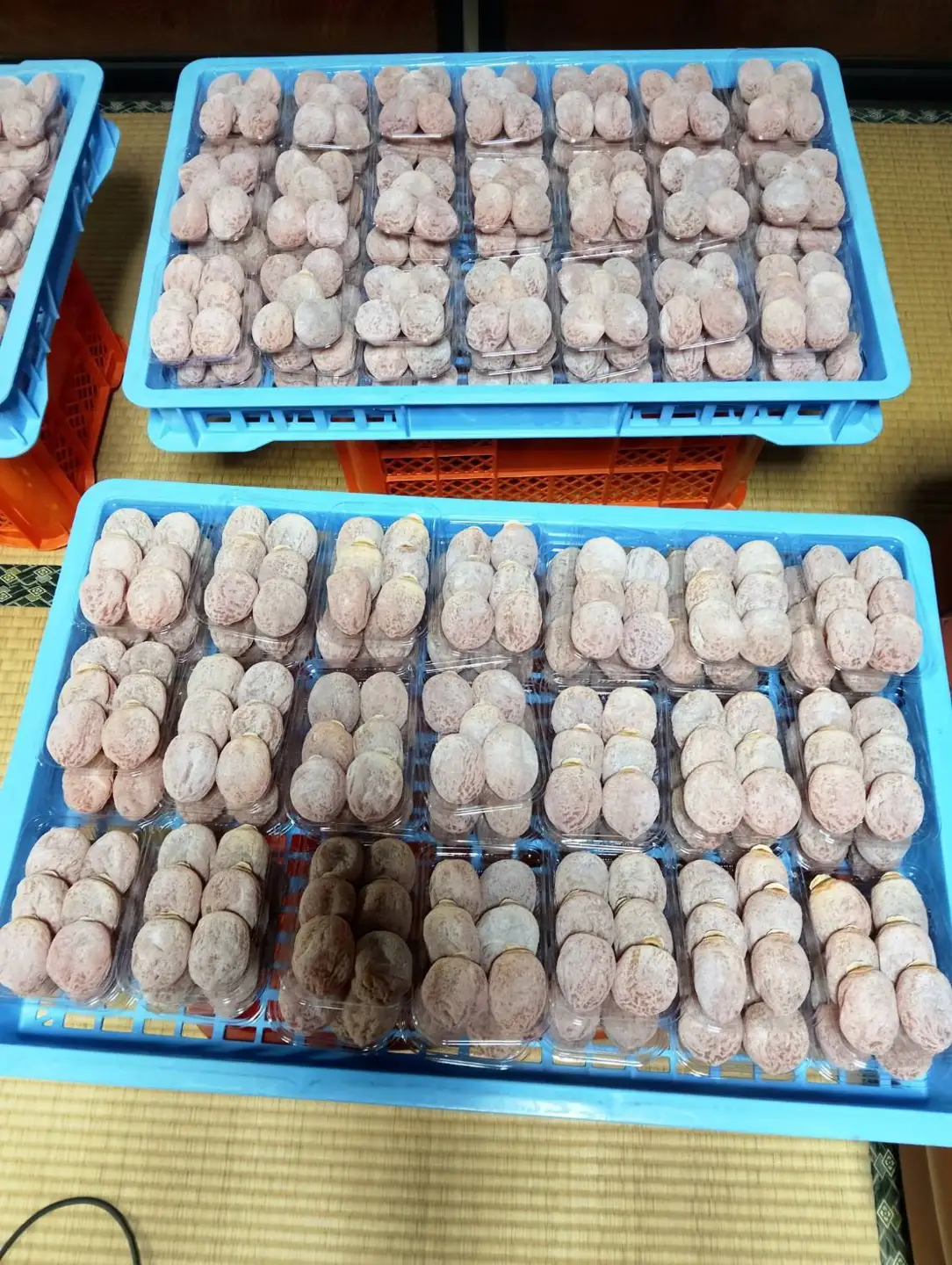 【令和8年発送】南信州高森町産 市田柿 200g×4パック