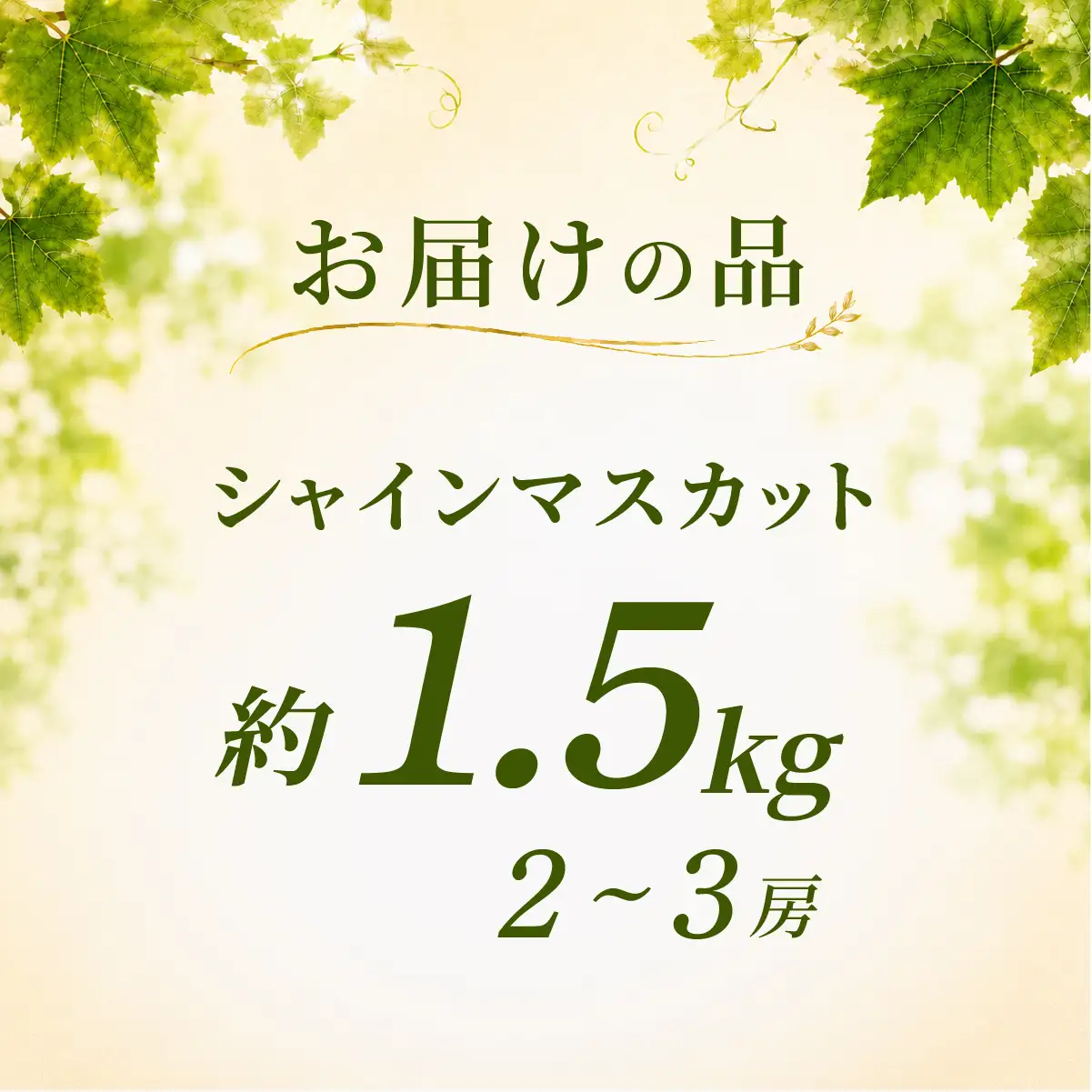 シャインマスカット 1.5kg シャインマスカット