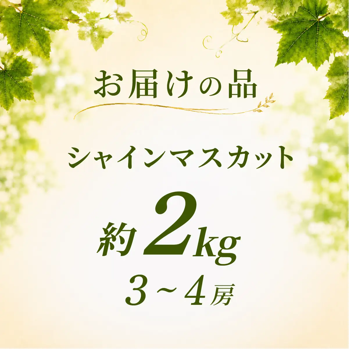 シャインマスカット 2kg シャインマスカット