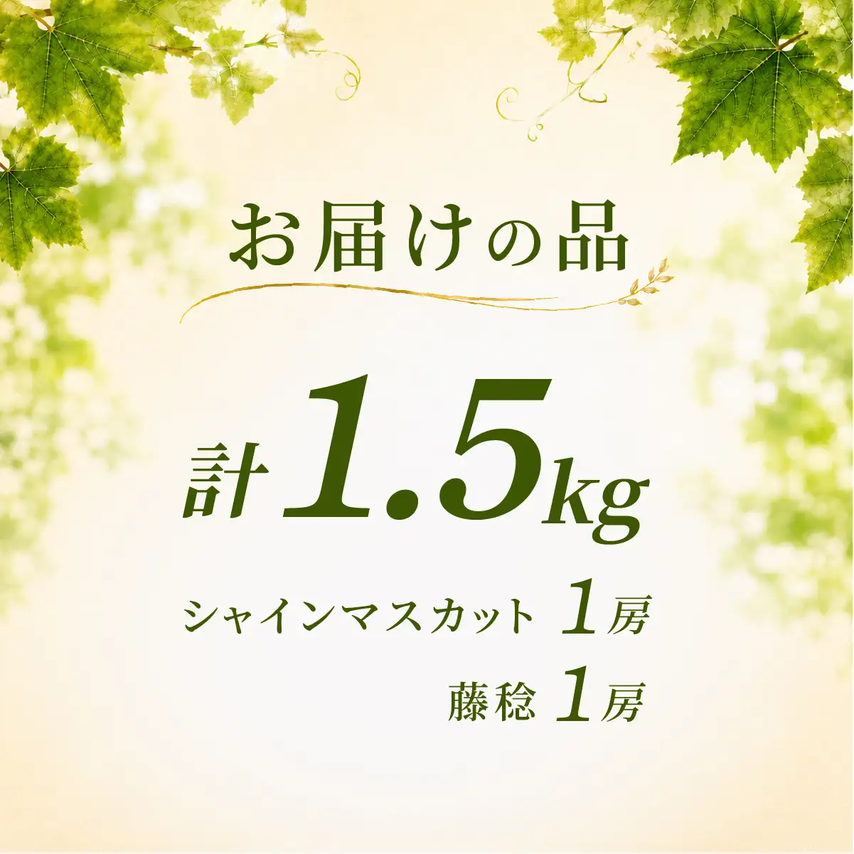 食べ比べ シャインマスカット1房 藤稔1房 約1.5kg  シャインマスカット ぶどう