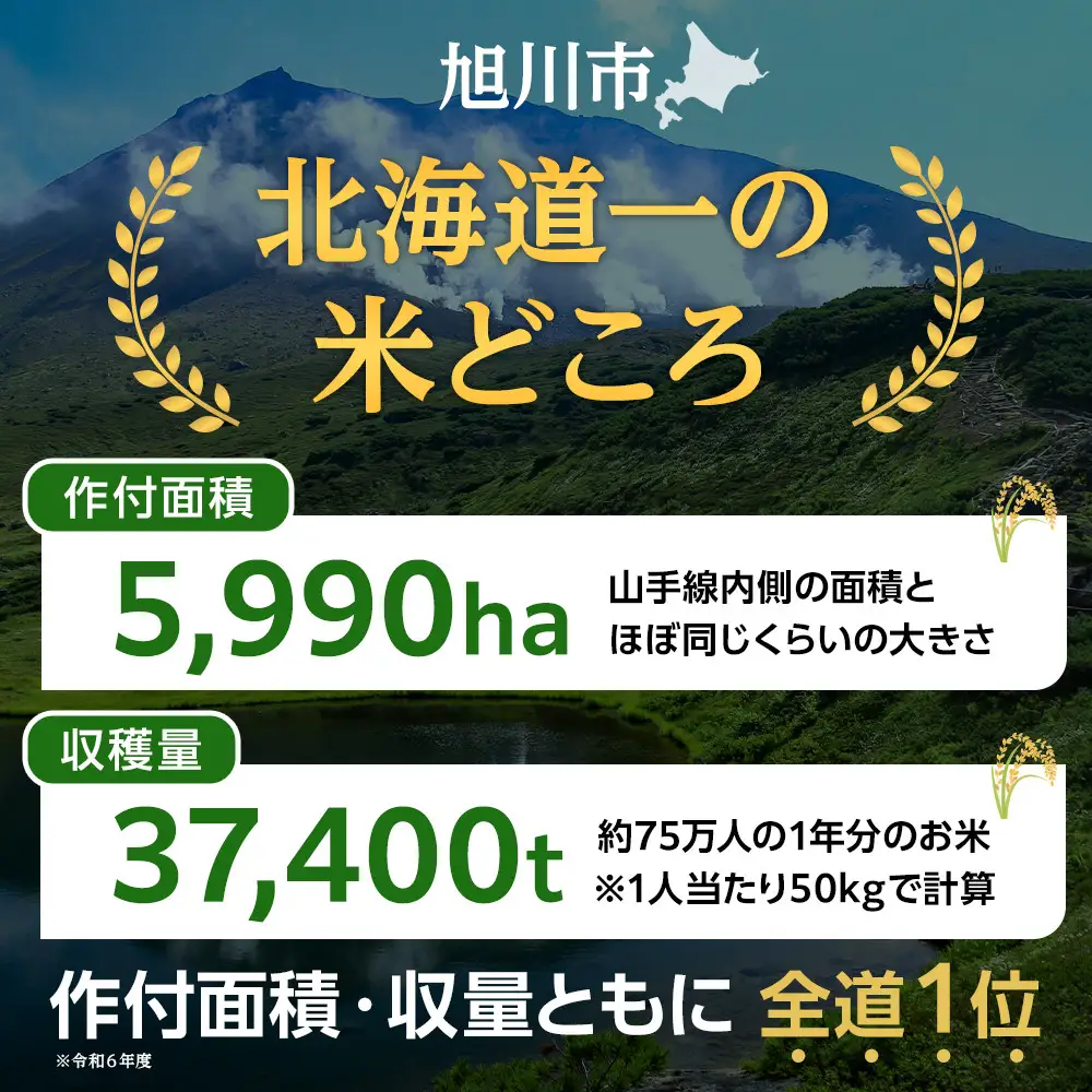 【ふるなび限定】令和7年 旭川産ゆめぴりか 白米 5kg 紙包装 | 5kg 精米_05937