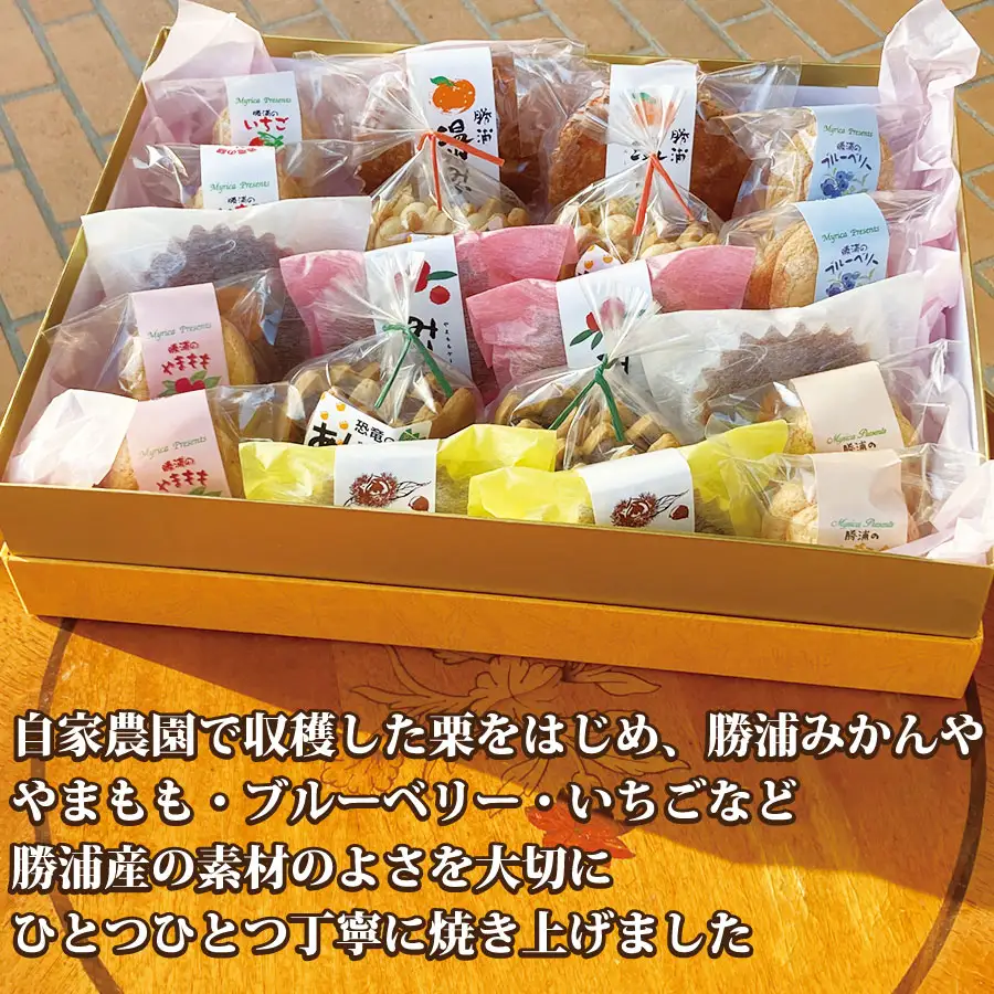 勝浦の焼き菓子詰め合わせ 10種 20個