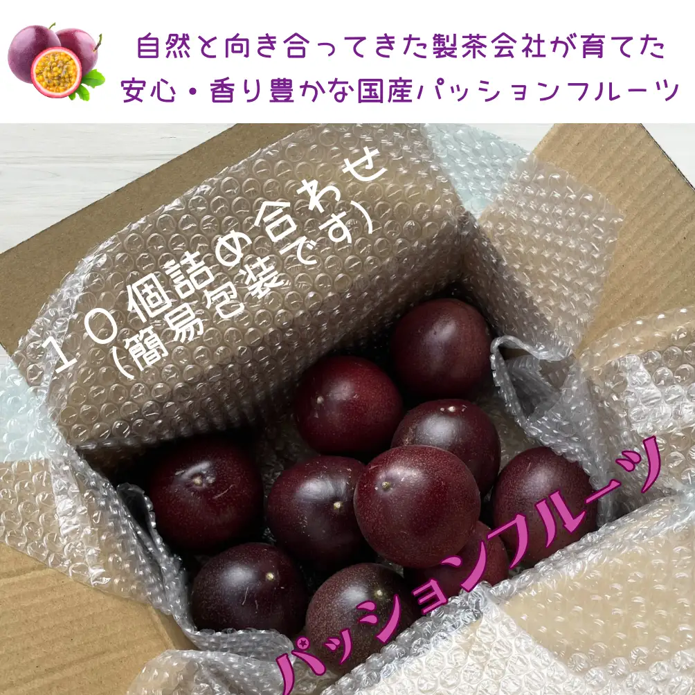 【2026年7月上旬より発送】 フルーツ パッションフルーツ 10個 約 1kg 旬 夏 果実 フルーツ