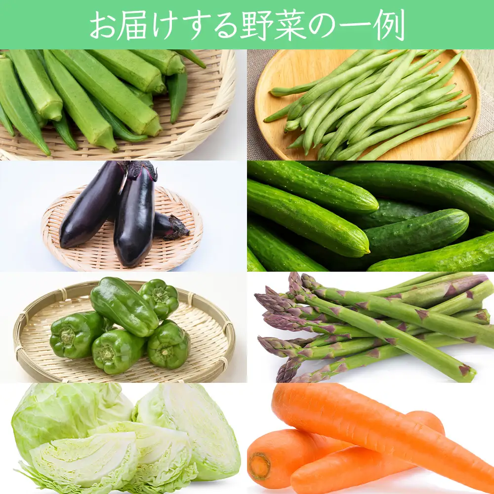 つがる市産 おまかせ夏の野菜セット 約4kgから5kg [1006]