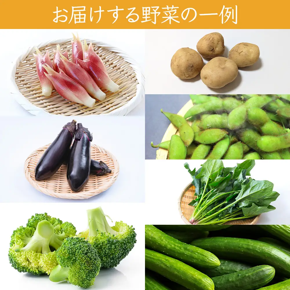 つがる市産 おまかせ秋の野菜セット 約4kgから5kg [1007]