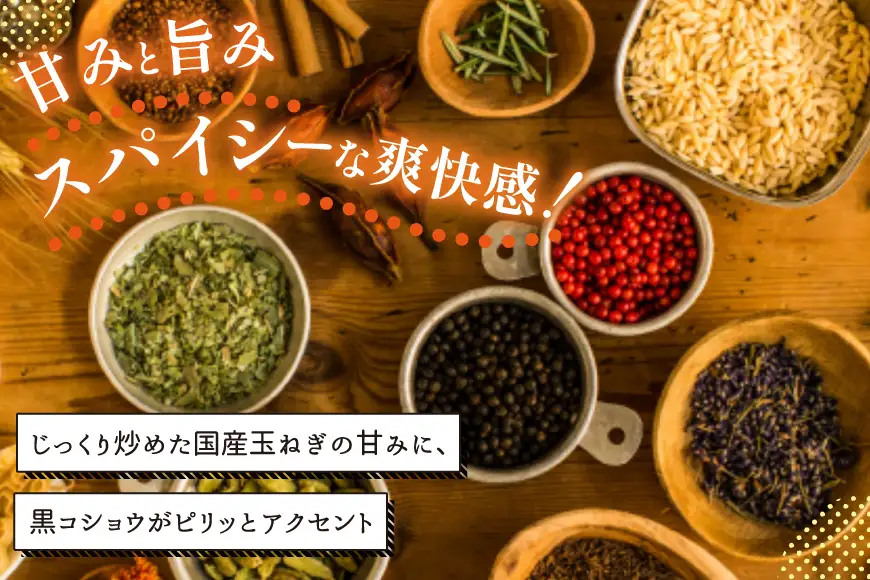 AWATAMA オニオンスープ 10食
