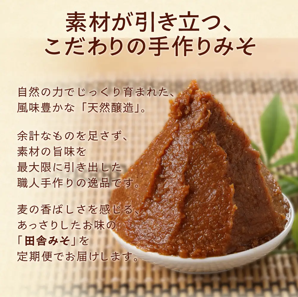 【隔月 定期便 3回】（田舎みそ×2個）計6個  隔月で3回お届け【87-B】