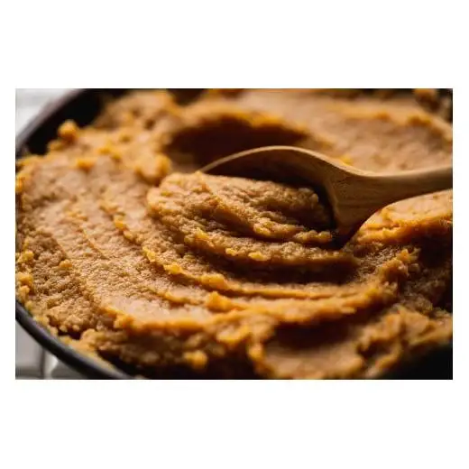 こだわりの生みそ 国産有機味噌 450g [1357] 無添加 生みそ 生味噌 天然醸造 長期熟成 オーガニック
