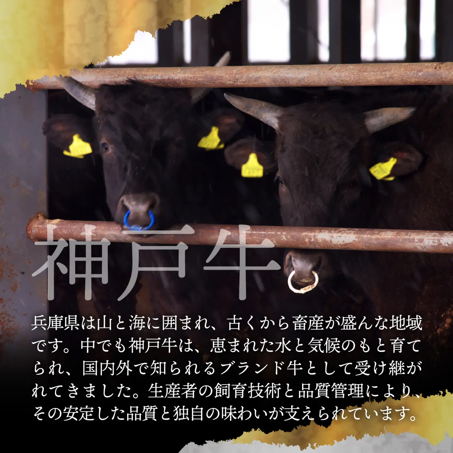 神戸牛 ローストビーフ 400g | ローストビーフ 牛肉