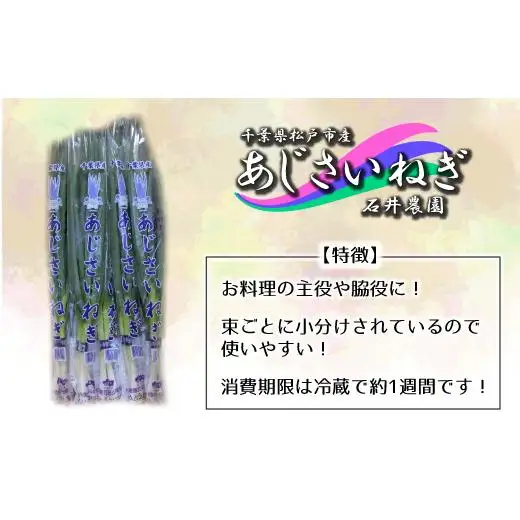 ES001 石井さん家のあじさいねぎ 約2kg