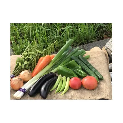 【戸張農園】厳選おまかせ野菜セット