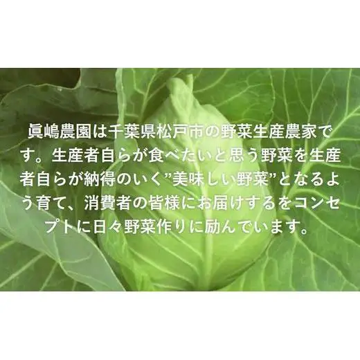 AE002 【毎月定期便4回】季節のおまかせ野菜セット