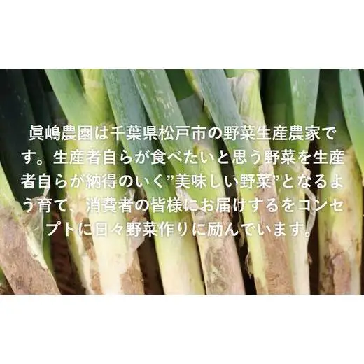 AE001 季節のおまかせ野菜セット