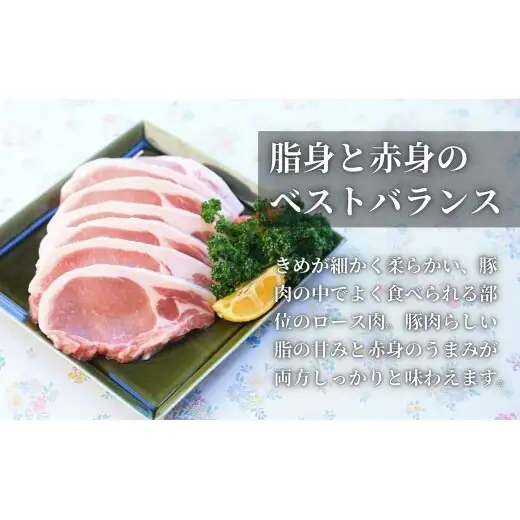 【3回定期便 総計3.0kg！真空個包装で便利】ありたぶた ロース 厚切り とんかつ用 3ヶ月 連続 定期便 1kg（100g×10パック）【有田まちづくり公社】佐賀県産 有田町産 ブランド豚 ありたぶた 豚 ぶた 豚肉 ロース肉 とんかつ トンテキ ステーキ 小分け 全3回 zh015
