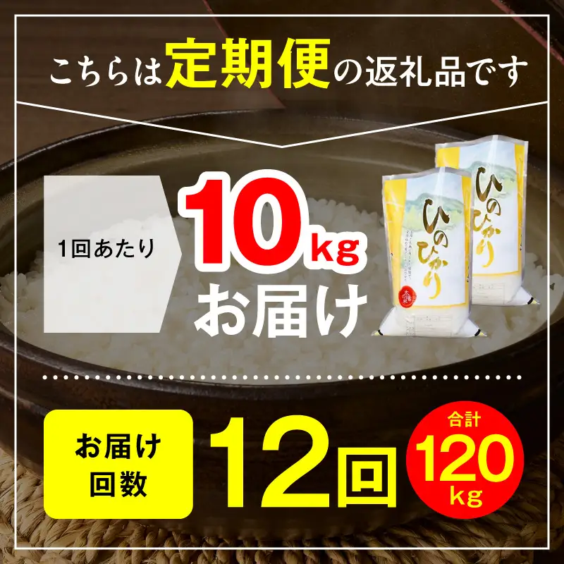 延岡産ヒノヒカリ（白米）10kg 12ヶ月定期便 N0218-YJ004
