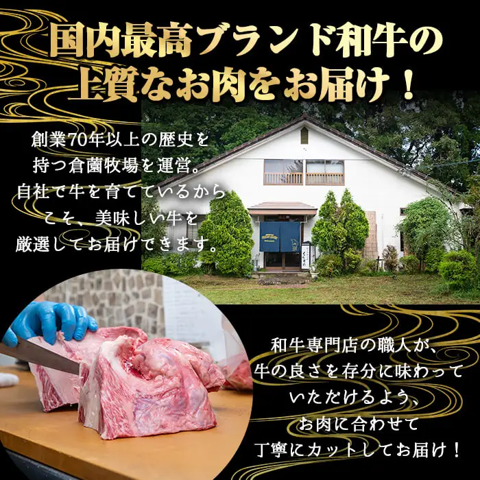 鹿児島県産 A5等級 黒毛和牛 霜降り ロース 焼肉 (計250g・250g×1P) 【KNOT】 A1103