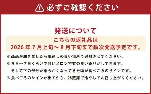 美しメロン 1玉 1.6kg以上 2個入 メロン フルーツ 果物 くだもの 果実 果肉 果汁 国産 北海道産 【 2026年7月上旬～8月下旬発送予定 】