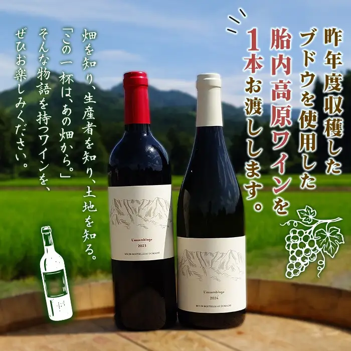 胎内高原ワイナリー ワイン用ブドウ収穫体験【ワイン1本＋宿泊付き（1泊2食）】