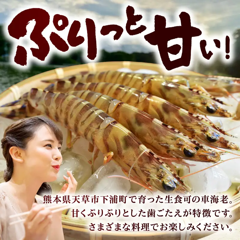 S187-002_生食可 活き〆急速冷凍車海老500g