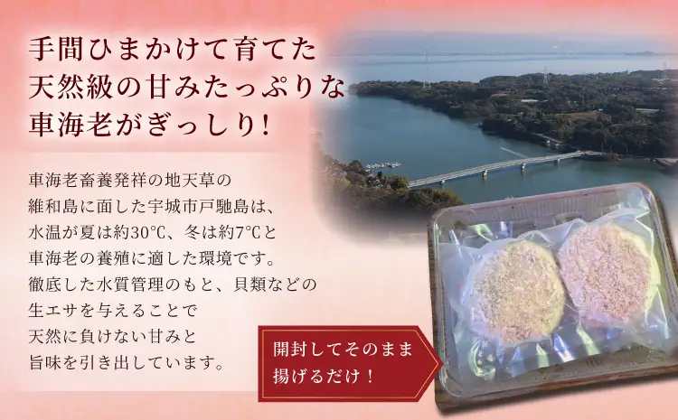 ぎっしり車海老カツ（2個入×5パック）吉本水産