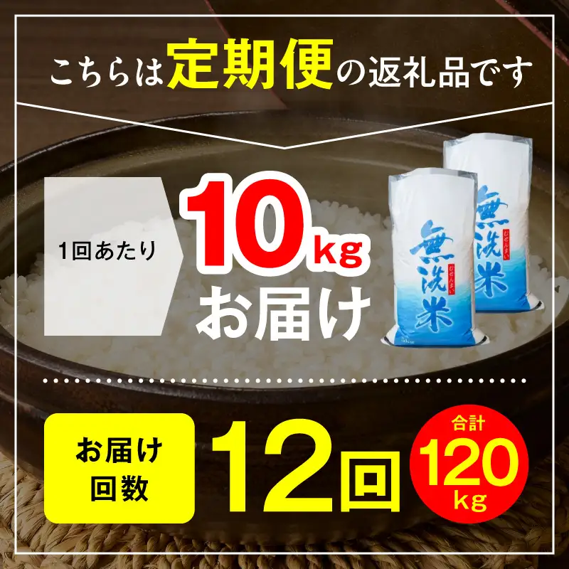 延岡産ヒノヒカリ（無洗米）10kg 12ヶ月定期便 N0218-YK008
