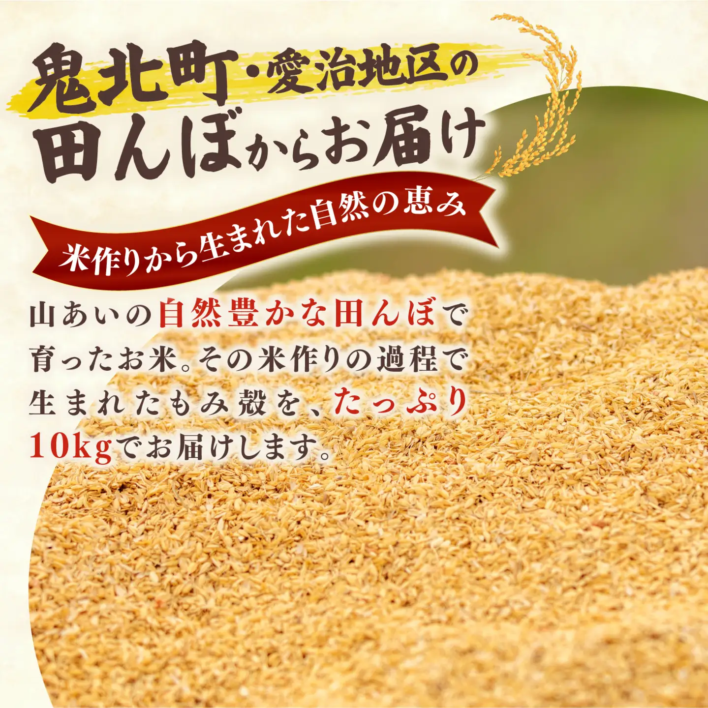 藤城さん家のもみ殻 10kg |もみ殻 籾殻 園芸 資材 土壌改良 ミルキークイーン コシヒカリ 10キロ 小分け 使い勝手 野菜 やさい作り 畑 保温