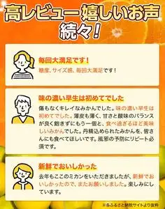 完熟ゆら早生みかん 3kg ※2026年11月上旬頃から11月中旬頃に順次発送予定 【kzmn004-kan-3A】