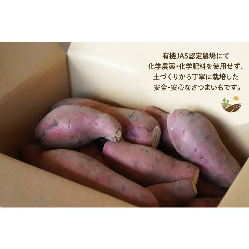 ＜ 先行予約 ＞ オーガニック さつまいも べにはるか 10kg サツマイモ 紅はるか いも イモ 芋 有機栽培 有機野菜 化学農薬不使用 化学肥料不使用 焼き芋 大学芋 北海道 安平町 安平