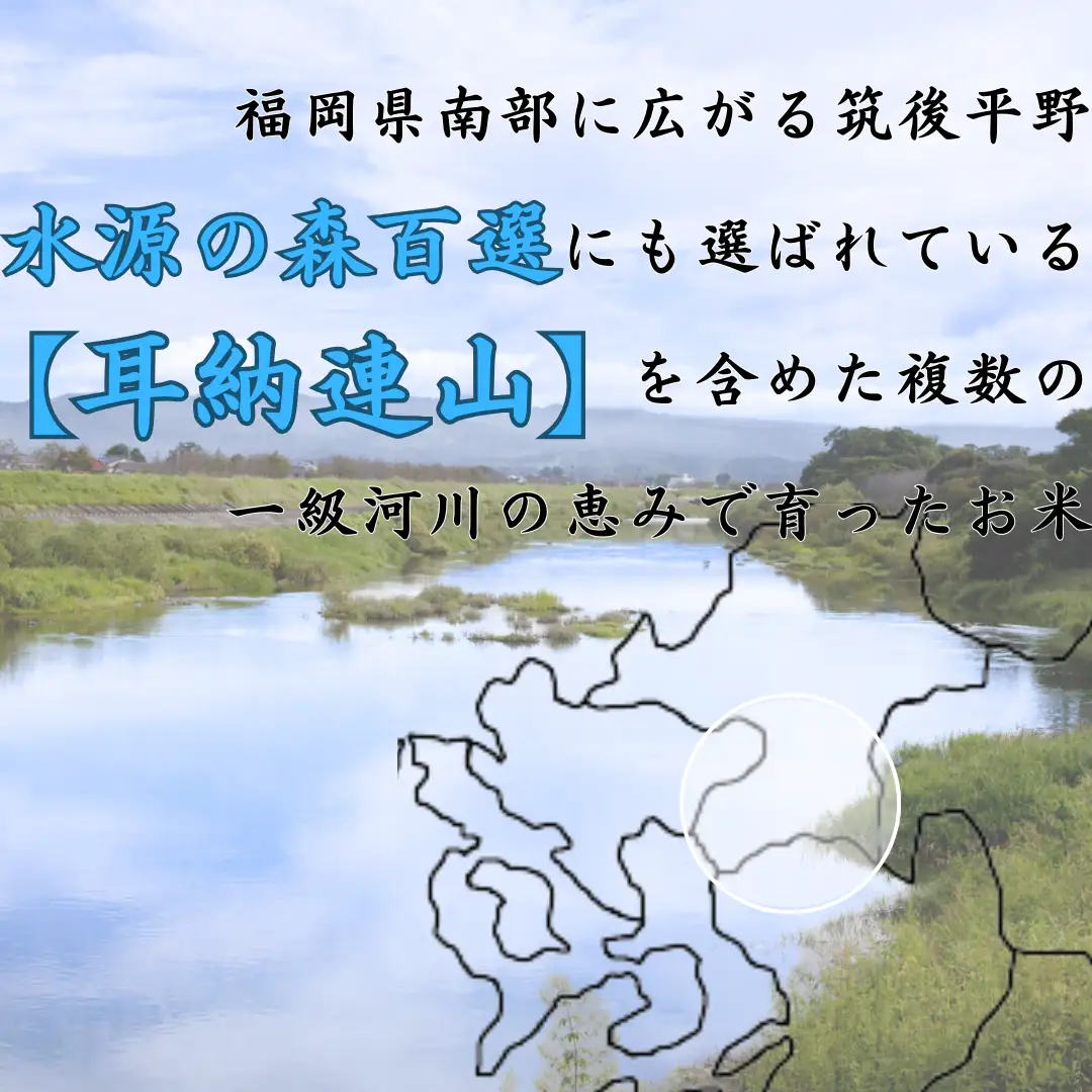 令和8年度産 ヒノヒカリ 白米 10kg