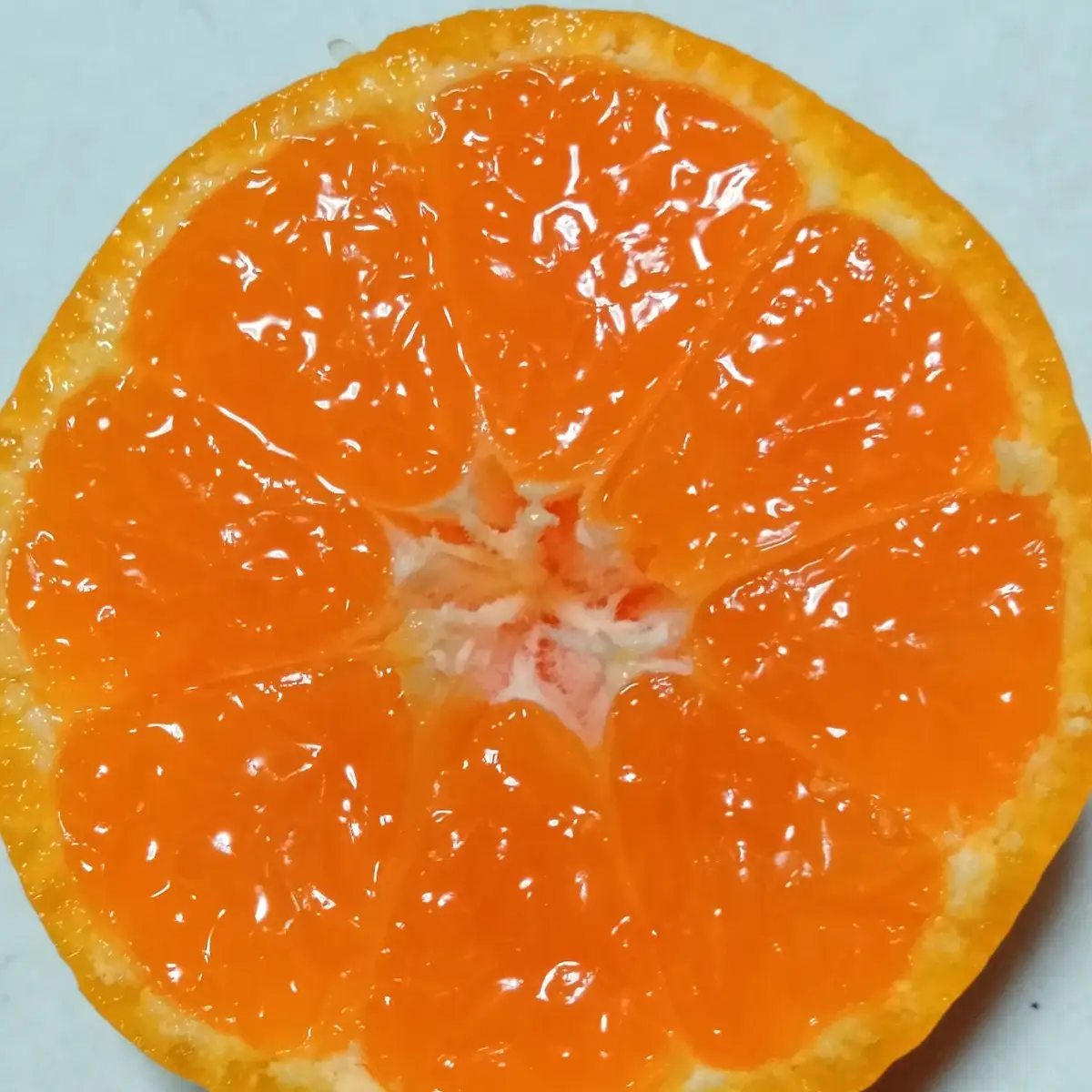 【先行受付】「 愛媛 みかん 」 小玉 約10kg《 愛咲果樹園 》【71-69】YWTS044